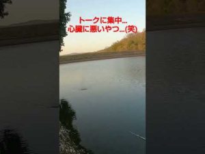 やっちまった…　釣りユーチューバーあるある。#mybloopers