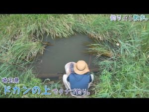 埼玉県 ドカンの上でタナゴ釣り。そろそろタナゴ釣りが楽しいシーズンですね！