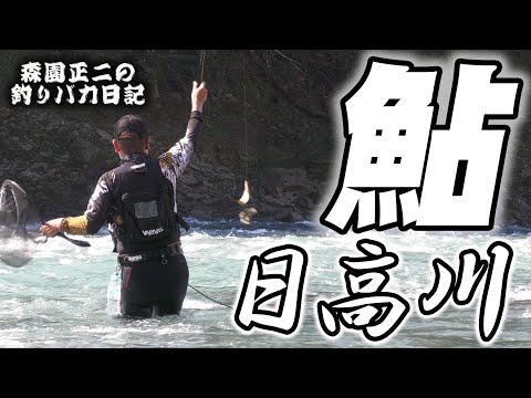 今年の鮎釣りも終了です 和歌山県日高川 森園正二の釣りバカ日記35