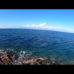 【釣り】大物祈願！ [対象→青物、シーバス、アオリイカ: 22/10/15②] 【青森・T崎】