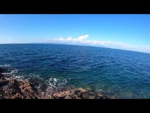 【釣り】大物祈願！ [対象→青物、シーバス、アオリイカ: 22/10/15②] 【青森・T崎】