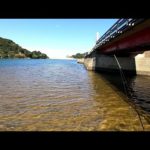 ハゼ釣りドライブ