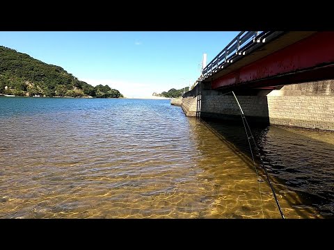 ハゼ釣りドライブ