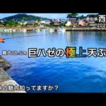 【海釣り】ハゼ、キス狙い｜西浦町（愛知県）｜2022.10.10【夫婦対決】