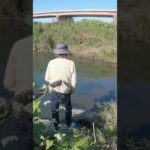 世田谷の多摩川で小物釣り。