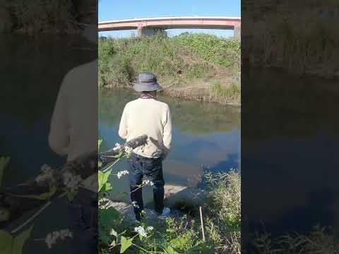 世田谷の多摩川で小物釣り。