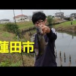 埼玉バス釣りポイント　蓮田市