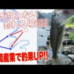 まだバス釣りシーズンオフはするな！これからでも釣れる場所を公開！