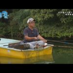 【釣り百景】#457 自然豊かな湖で良型へらぶな 群馬県鮎川湖