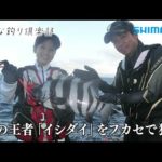 【おとな釣り倶楽部】鵜来島のフカセイシダイ釣り、強烈な引き堪能