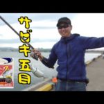 サビキ釣りで五目釣りができる程、小名浜の海が絶好調です！