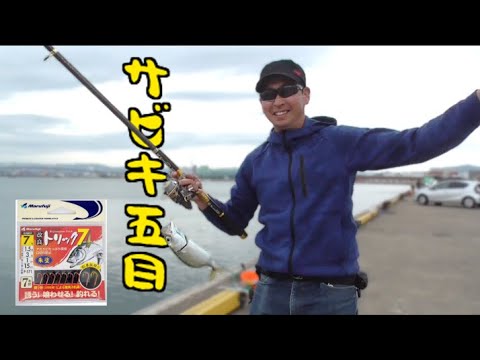 サビキ釣りで五目釣りができる程、小名浜の海が絶好調です!