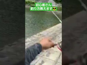 バス釣り入門企画のワンシーン  詳細は作成元クリック      プチ鳶
