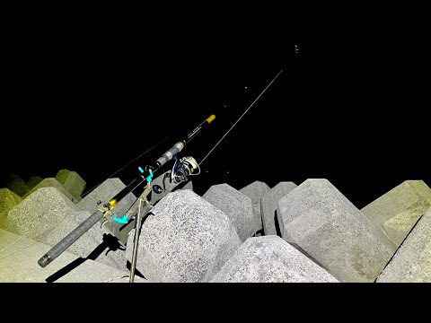 【生配信】大物だらけの堤防でぶっこみ釣り