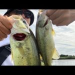 【茨城バス釣り】先輩たちとバス釣りで爆釣の1日！4人で30本！バス釣り【埼玉バス釣り】