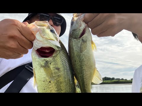 【茨城バス釣り】先輩たちとバス釣りで爆釣の1日！4人で30本！バス釣り【埼玉バス釣り】