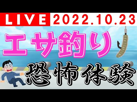 【釣りトーク】エサ釣り／釣りの恐怖体験