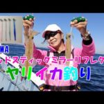 2022シーズンヤリイカ釣り　10月発売のDAIWA　ミッドスティックミラーリフレクトを使ってヤリイカ釣り　【ヤリイカ釣り】【直結仕掛け】【ミッドスティックミラーリフレクト】