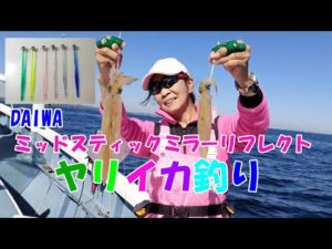2022シーズンヤリイカ釣り　10月発売のDAIWA　ミッドスティックミラーリフレクトを使ってヤリイカ釣り　【ヤリイカ釣り】【直結仕掛け】【ミッドスティックミラーリフレクト】