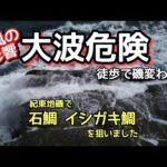 @磯釣り @石鯛 ♯石鯛釣り ♯イシダイ釣り ♯大波 紀東地磯で石鯛、イシガキ鯛を狙いました ♯石鯛釣り最新 ♯石鯛釣り最新動画