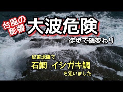 @磯釣り @石鯛 ♯石鯛釣り ♯イシダイ釣り ♯大波 紀東地磯で石鯛、イシガキ鯛を狙いました ♯石鯛釣り最新 ♯石鯛釣り最新動画