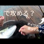 音で攻める釣堀小ネタ＆CBCメタルチューンで青物試釣