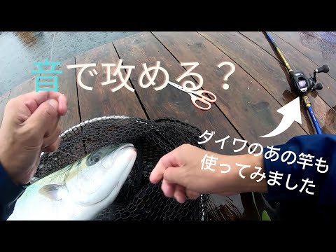 音で攻める釣堀小ネタ＆CBCメタルチューンで青物試釣