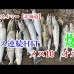 鮭釣り2022⑤～メス爆釣～