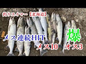 鮭釣り2022⑤～メス爆釣～
