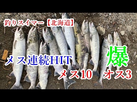 鮭釣り2022⑤～メス爆釣～