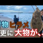 【ヒラメ釣り】サーフからまさかの大物が釣れてパニックに？！【福島県遠征編】