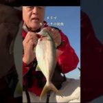 後編「色々な魚のお土産」ができる釣り！！お！よく引くな！