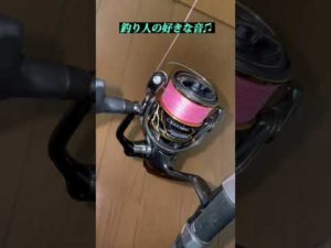 釣り人が好きな音！#shorts #釣り
