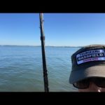 琵琶湖バス釣りライブR４-10/26