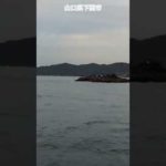 【番外】フカセ釣り磯場水島。