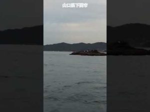 【番外】フカセ釣り磯場水島。