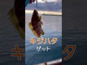 とある日の能登釣り遠征 #shorts