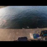 【釣り】2日連続釣れる？  [対象: シーバス: 22/10/28① 岩手・OS漁港]【爆釣→メン限化】