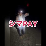 マルちゃんのウキ釣り！あの美味しい魚が連発します！#shorts #毎日投稿#堤防釣り #ウキ釣り