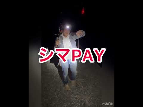 マルちゃんのウキ釣り！あの美味しい魚が連発します！#shorts #毎日投稿#堤防釣り #ウキ釣り