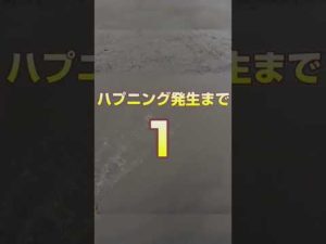 空からウナギが振って来た #shorts