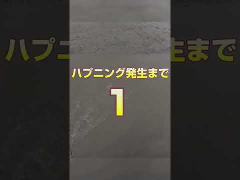 空からウナギが振って来た #shorts