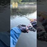 【管釣り】フォルテ0.9g♯ココア（VELVET ARTS）2022.10.28