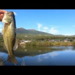 【バス釣り】つくばの野池巡り！数釣れる野池、でかいバス釣れる野池を探す！【つくばバス釣りポイント】