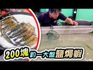 台南超迷你釣蝦場 一個小時200元可以搞一整盤 這太爽了吧 還能釣魚/兒童溜滑梯【跟我去釣蝦】#甲子釣蝦場