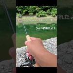 【バス釣り】新品で巻いてすぐのラインがフッキング切れ…そのあとまさかの奇跡が✨