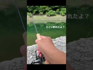 【バス釣り】新品で巻いてすぐのラインがフッキング切れ…そのあとまさかの奇跡が✨