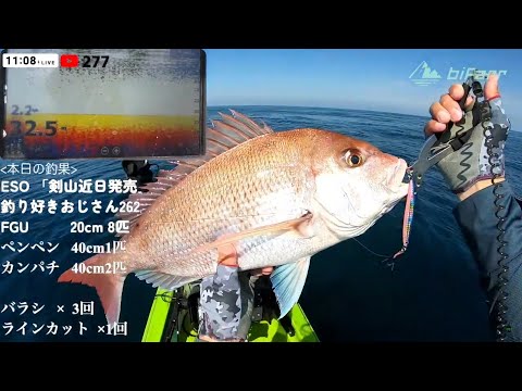 カヤックで海釣りライブ　久しぶりの大物が現れたLIVE　Kayak Fishing LIVE in JAPAN【LIVE43】