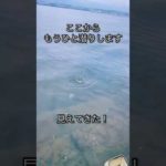 ゆうごはん琵琶湖で鯉を釣る　吸い込み釣り