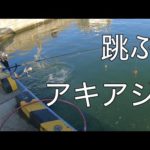 フカセ・浮きルアー・ブッコミ　３種類のアキアジ釣り